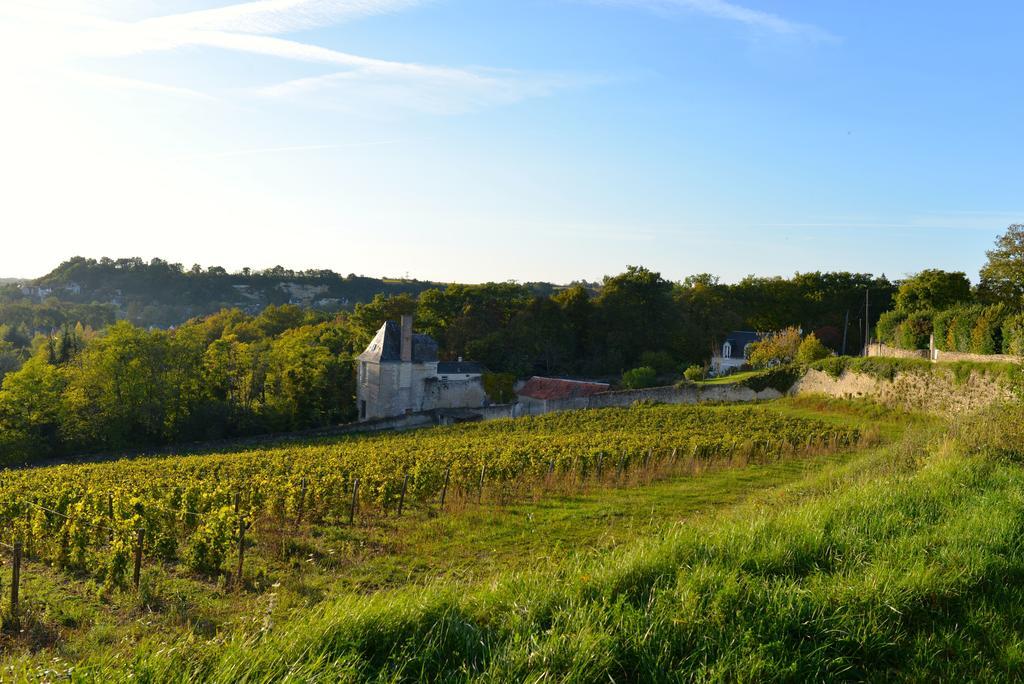 Gites Troglodytes Du Chateau De L'Etoile Vernou-sur-Brenne Quarto foto